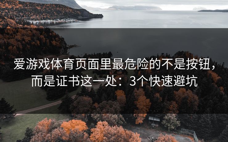 爱游戏体育页面里最危险的不是按钮,而是证书这一处:3个快速避坑 爱游戏体育页面里最危险的不是按钮,而是证书这一处:3个快速避坑
